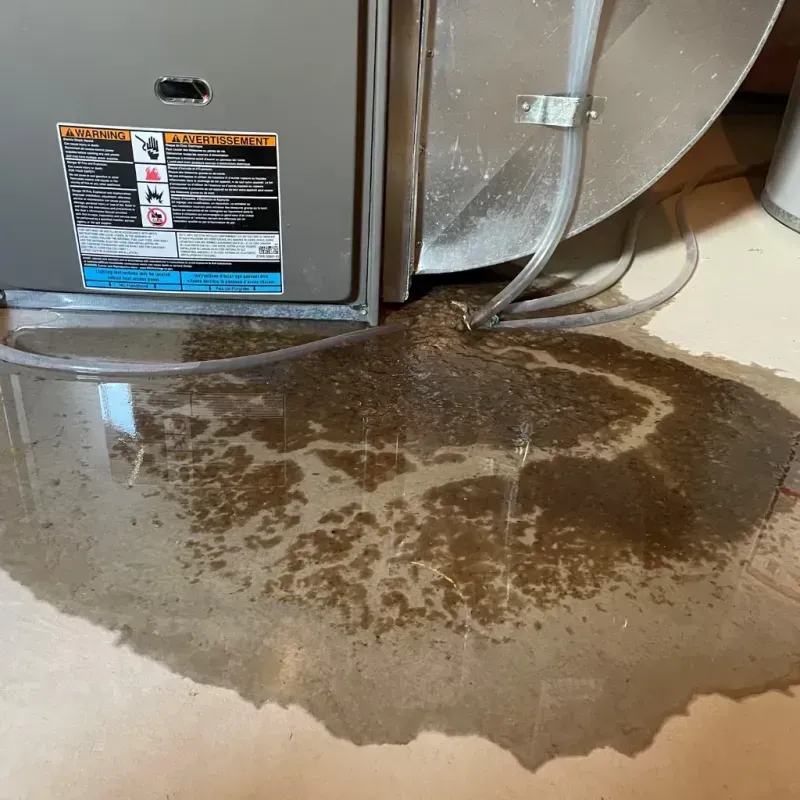 Appliance Leak Cleanup in Saint Joseph, MO